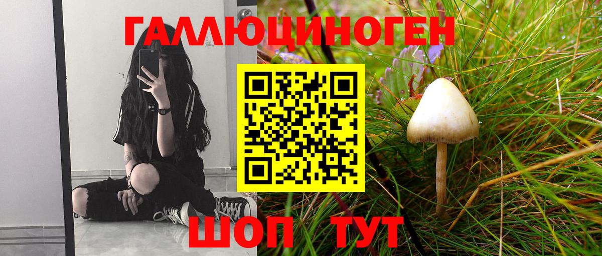 Галлюциногенные грибы Psilocybe  Галлюциногенные грибы Cubensis  где можно купить наркотик  Вход с VPN  Алейск 