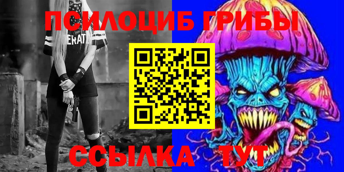 Галлюциногенные грибы Psilocybine cubensis Алейск