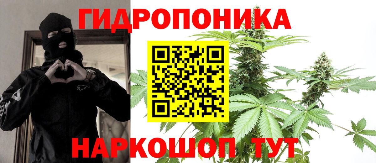 Бошки марихуана семена  Конопля семена  МАРИХУАНА сатива  Вход с VPN  Алейск 
